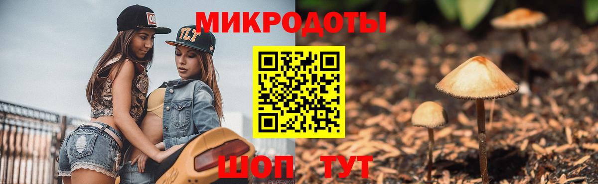 Псилоцибиновые грибы ЛСД Ноябрьск