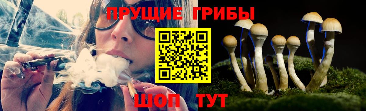 Галлюциногенные грибы Cubensis  Вход с VPN  Псилоцибиновые грибы мицелий  Ноябрьск 