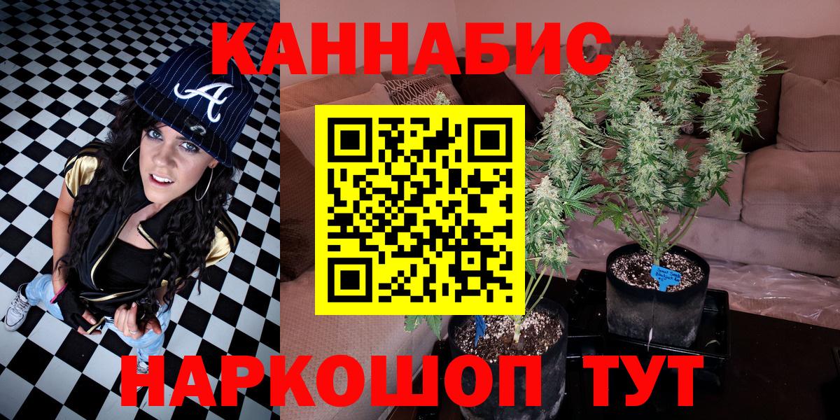 Марихуана сатива  Шишки марихуана индика  Ноябрьск  Вход с VPN 